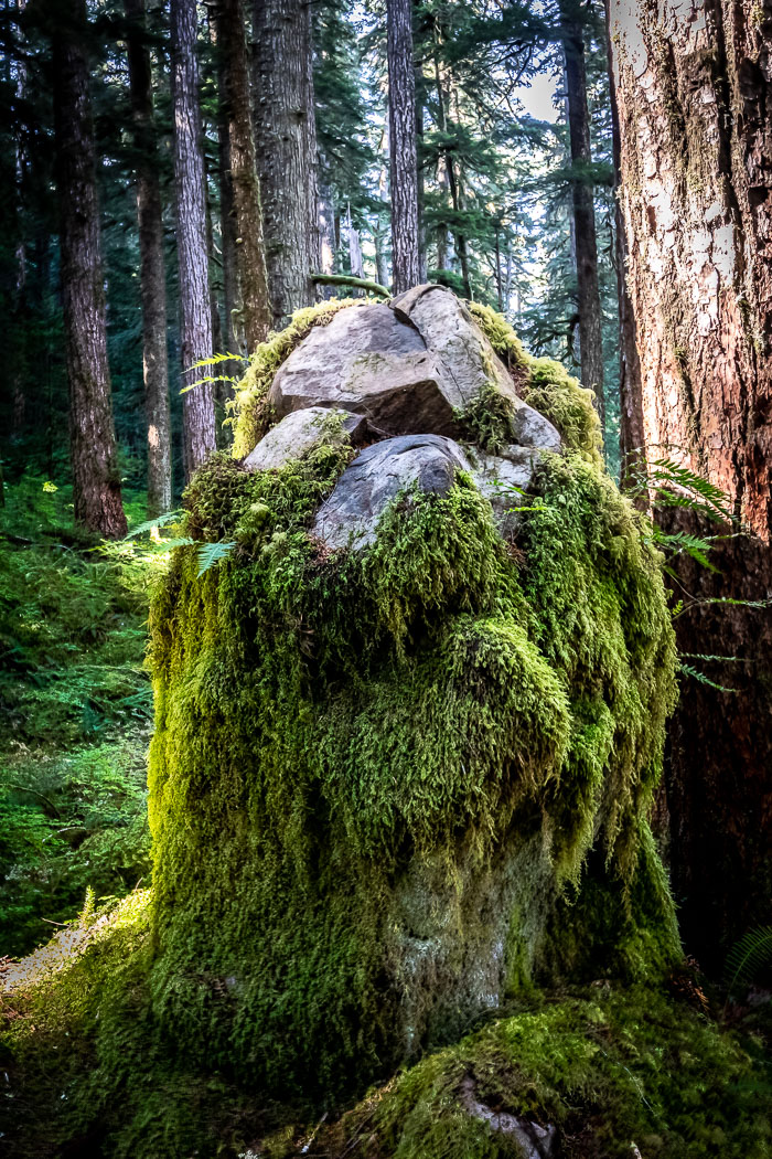 Olympic National Park