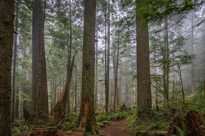 Olympic National Park
