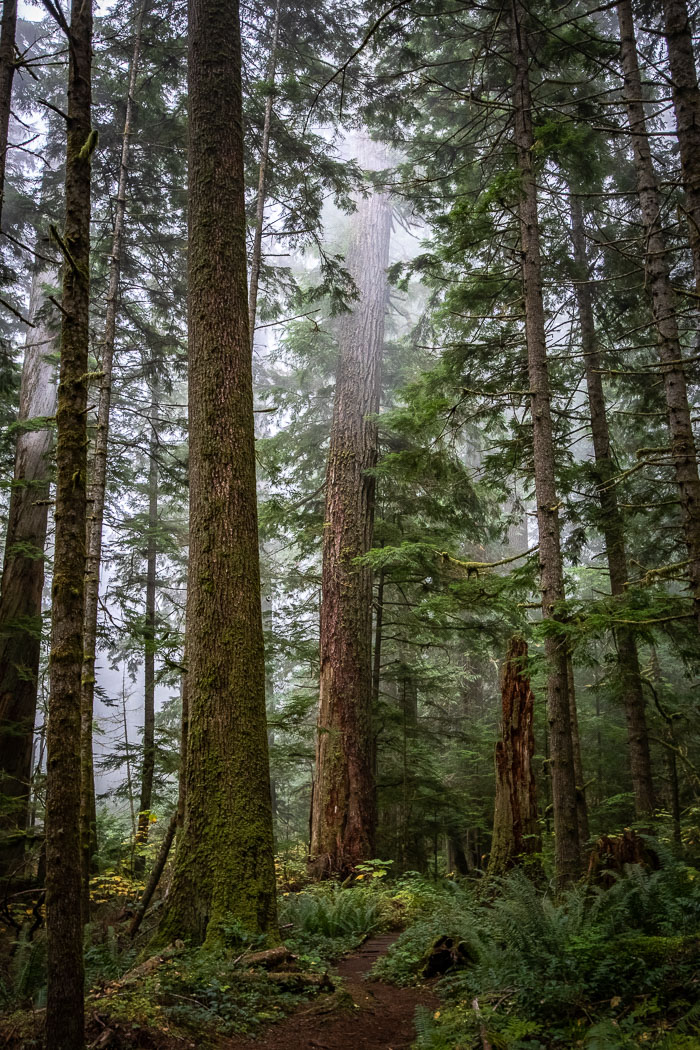 Olympic National Park