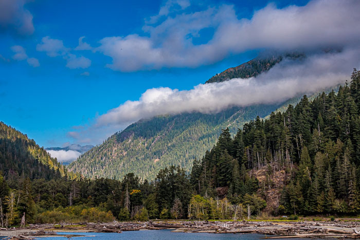 Olympic National Park