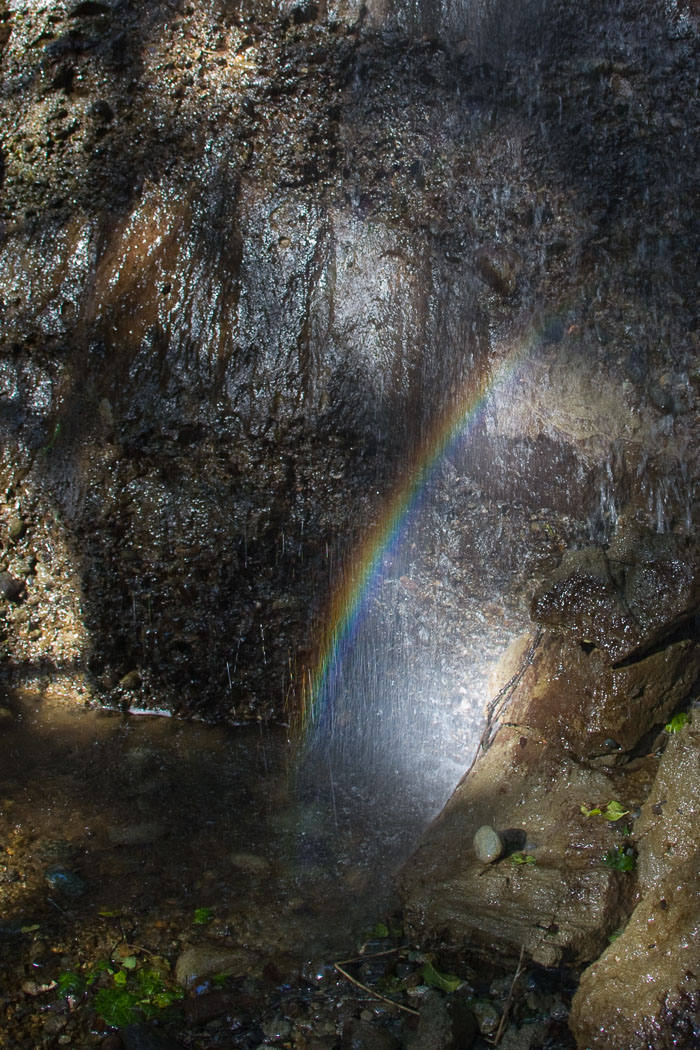 Redwoods National and State Parks