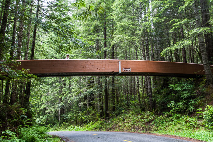 Redwoods National and State Parks