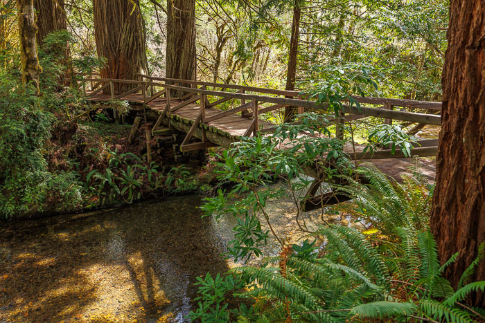 Redwoods National and State Parks