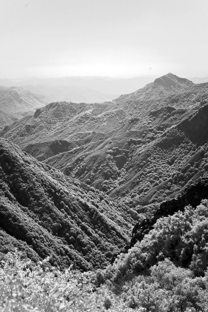 Sequoia-Kings Canyon