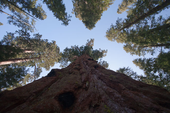 Sequoia-Kings Canyon