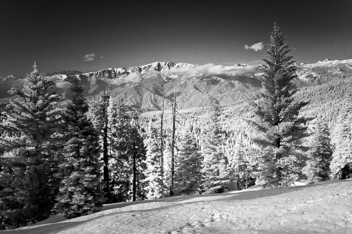 Sequoia-Kings Canyon