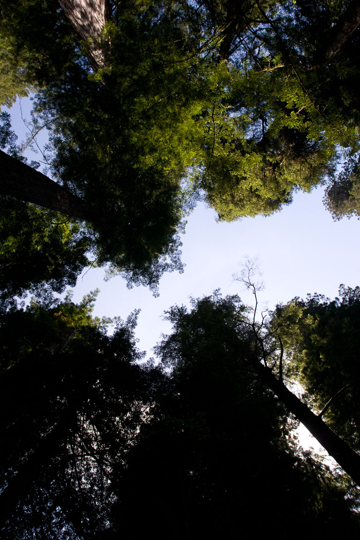 Pacific Region National Parks, Monuments, and Scenic Areas