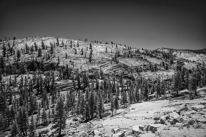 Yosemite Highcountry