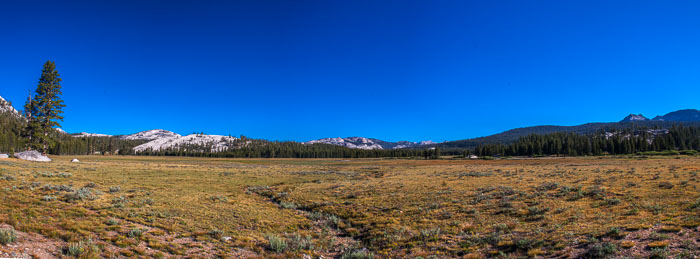 Yosemite Highcountry