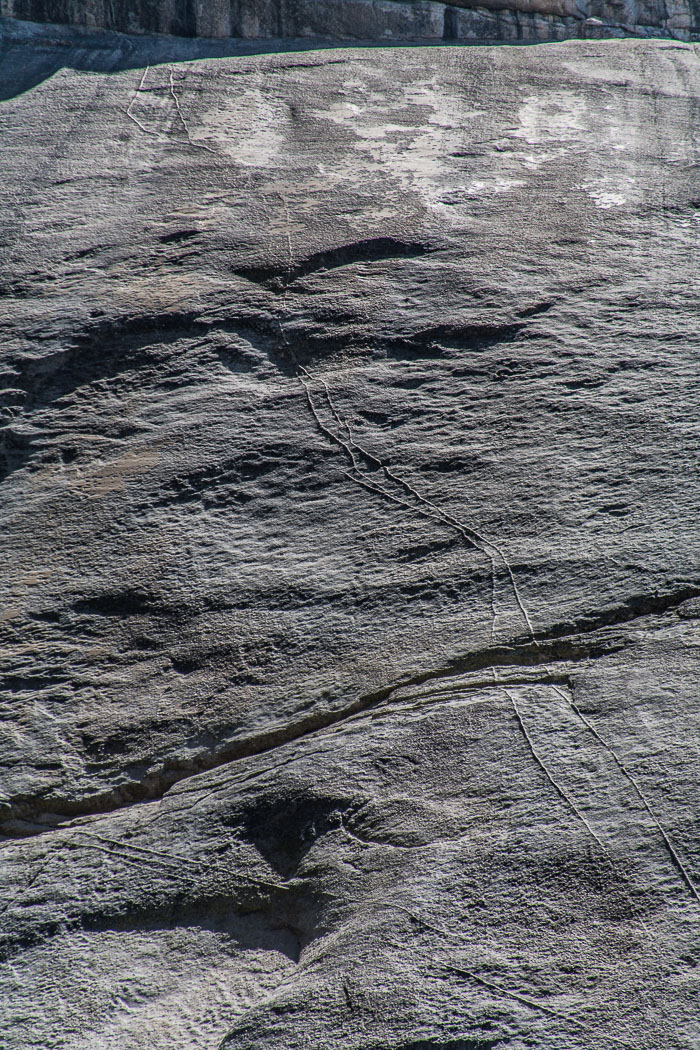 Yosemite Highcountry