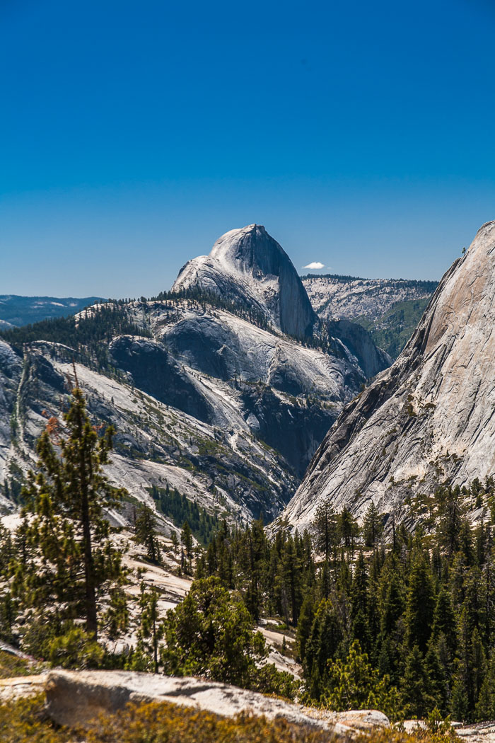 Yosemite Highcountry