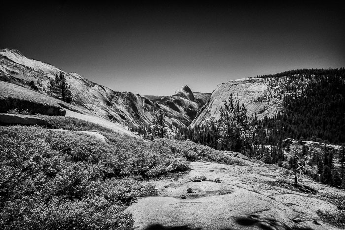 Yosemite Highcountry