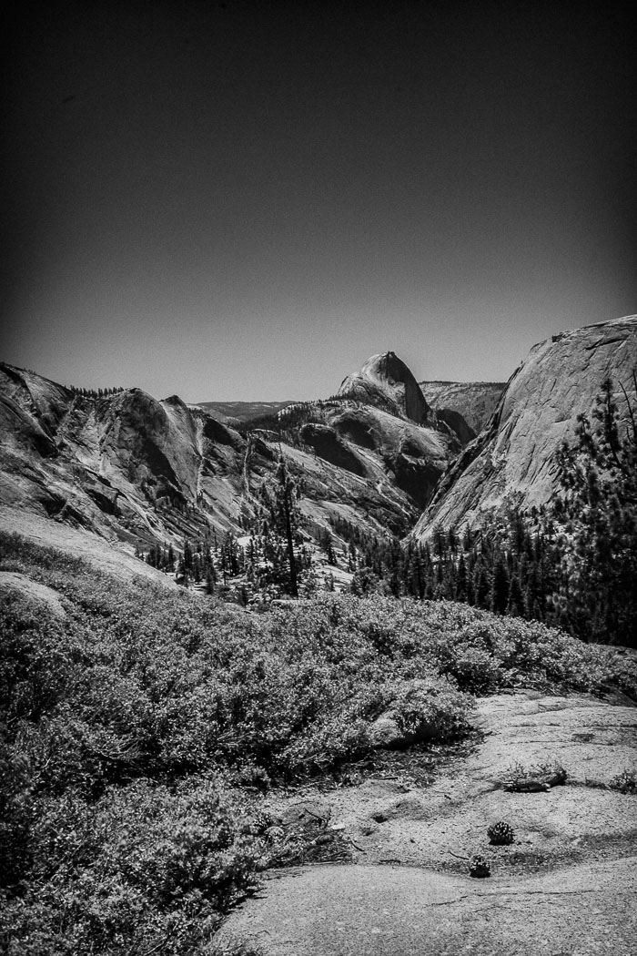 Yosemite Highcountry