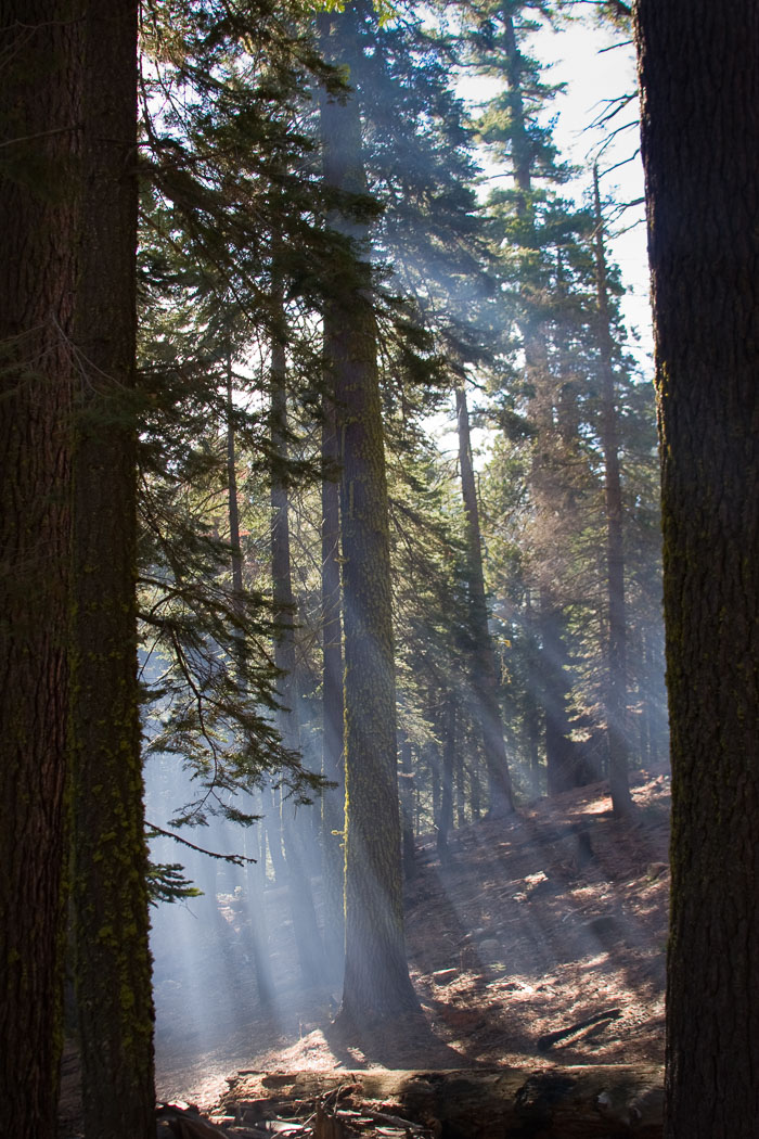 Yosemite Valley