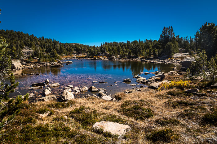 Beartooth Pass