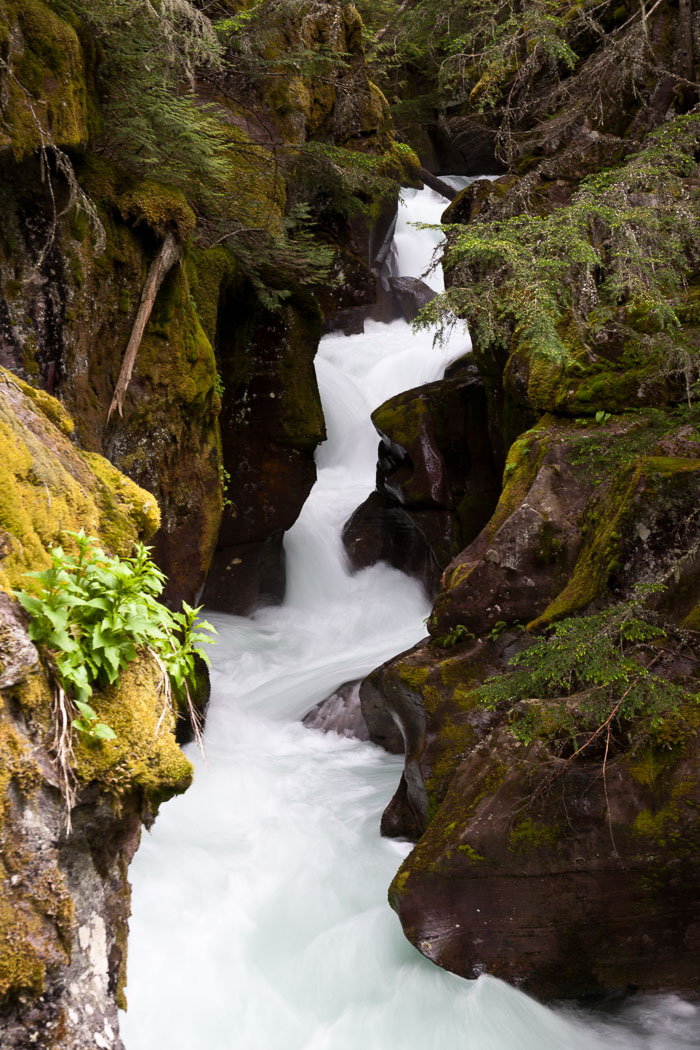 Avalanche Creek and Lake Trail