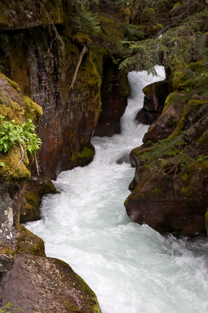 Avalanche Creek and Lake Trail