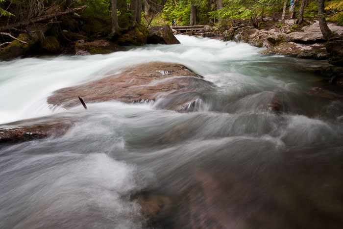 Avalanche Creek and Lake Trail