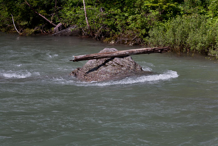 Avalanche Creek and Lake Trail