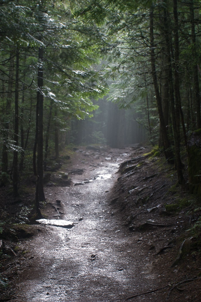 Avalanche Creek and Lake Trail