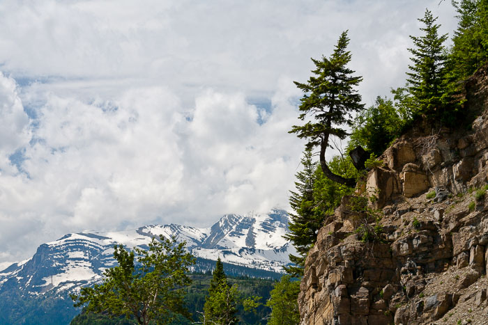 Going To The Sun Rd and Logan Pass