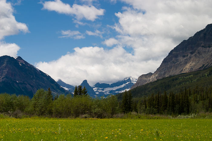 Going To The Sun Rd and Logan Pass