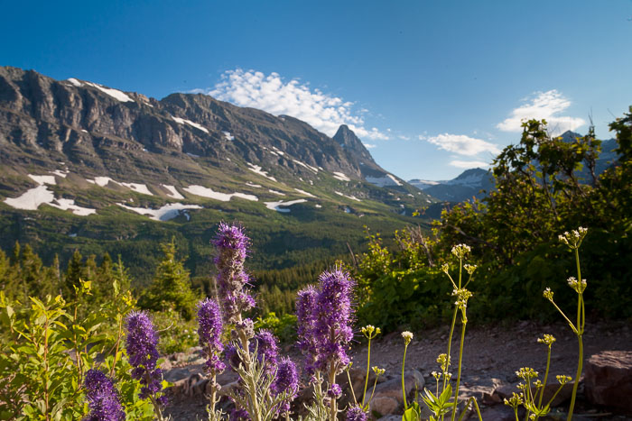 Many Glacier