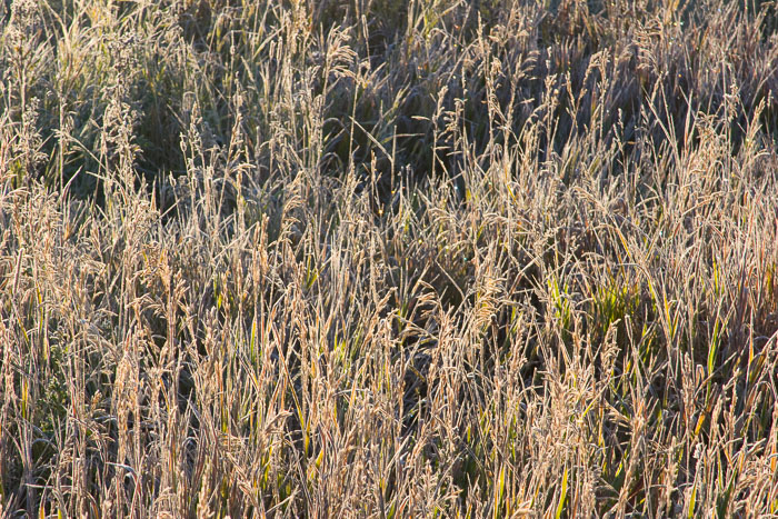 Grand Teton National Park 