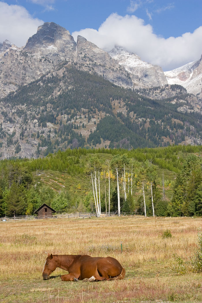 Grand Teton National Park 