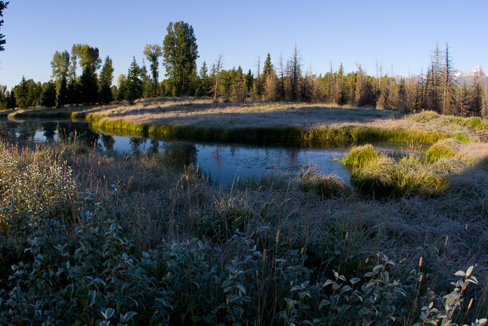 Grand Teton National Park 
