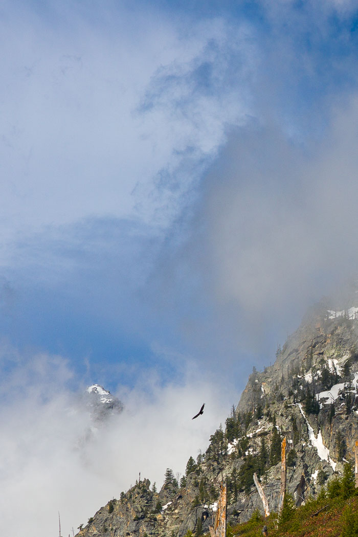 Grand Teton National Park 