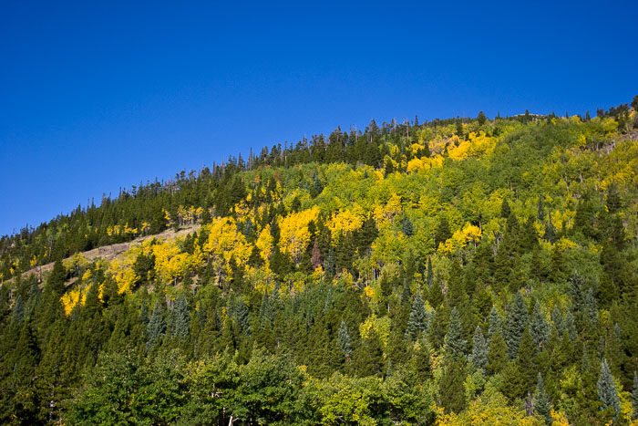 Rocky Mountain National Park