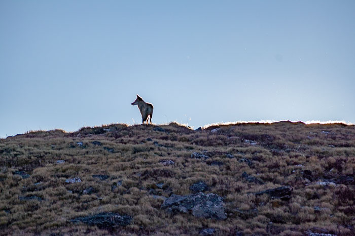Rocky Mountain National Park