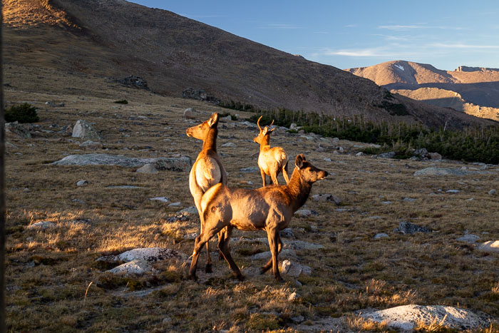 Rocky Mountain National Park