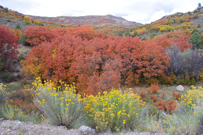 San Juan Mountains