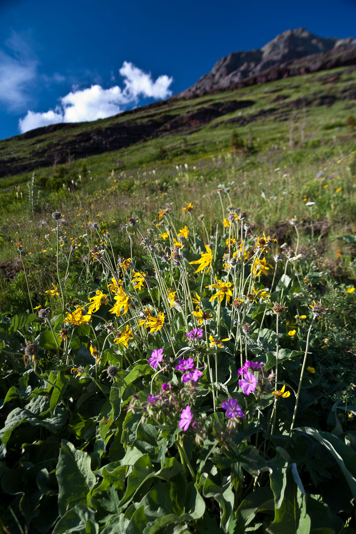 Rocky Mountain Region Parks