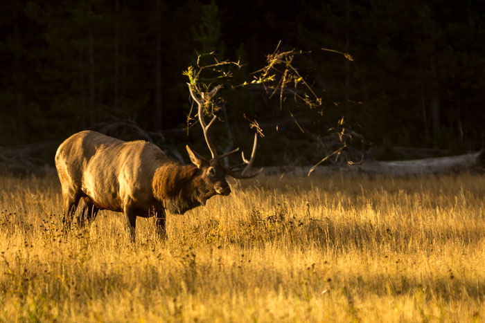 Rocky Mountain Region Parks