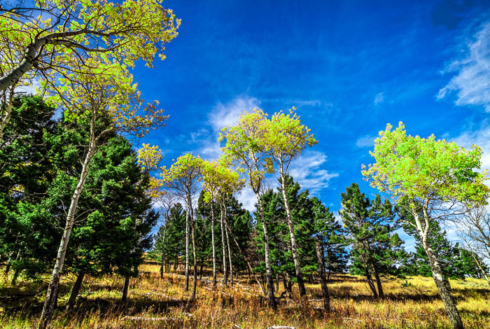 Rocky Mountain Region Parks