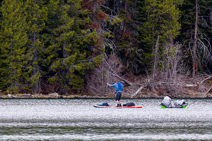 Yellowstone - Charismatic Megafauna