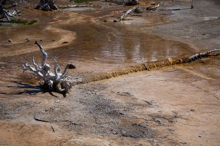 Yellowstone Hydrothermal Features