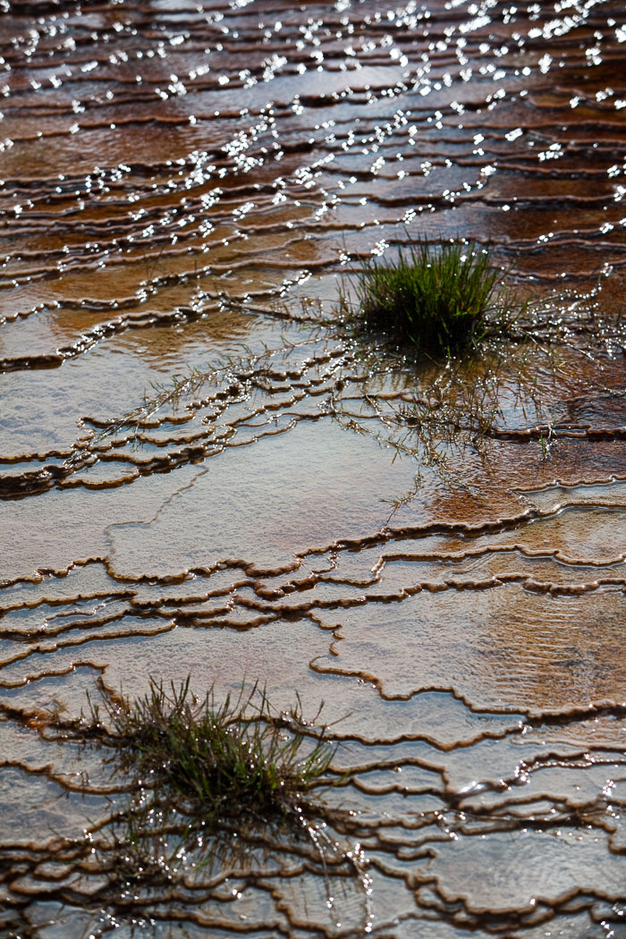 Yellowstone Hydrothermal Features