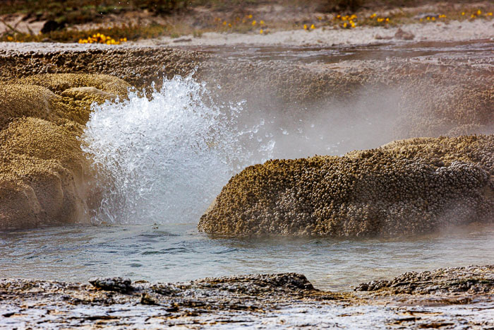 Yellowstone Hydrothermal Features