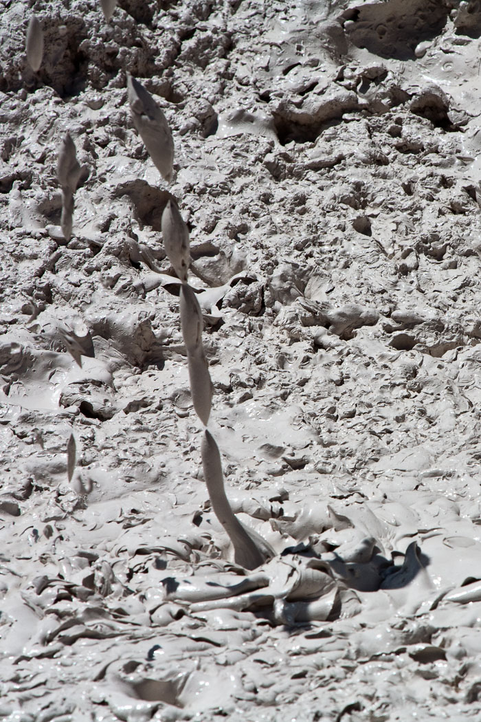 Yellowstone Mudpots Yellowstone Mudpots