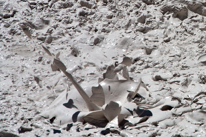 Yellowstone Mudpots