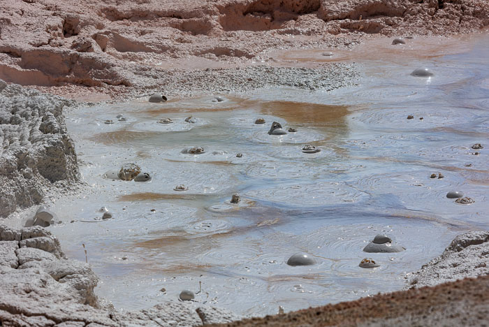 Yellowstone Mudpots