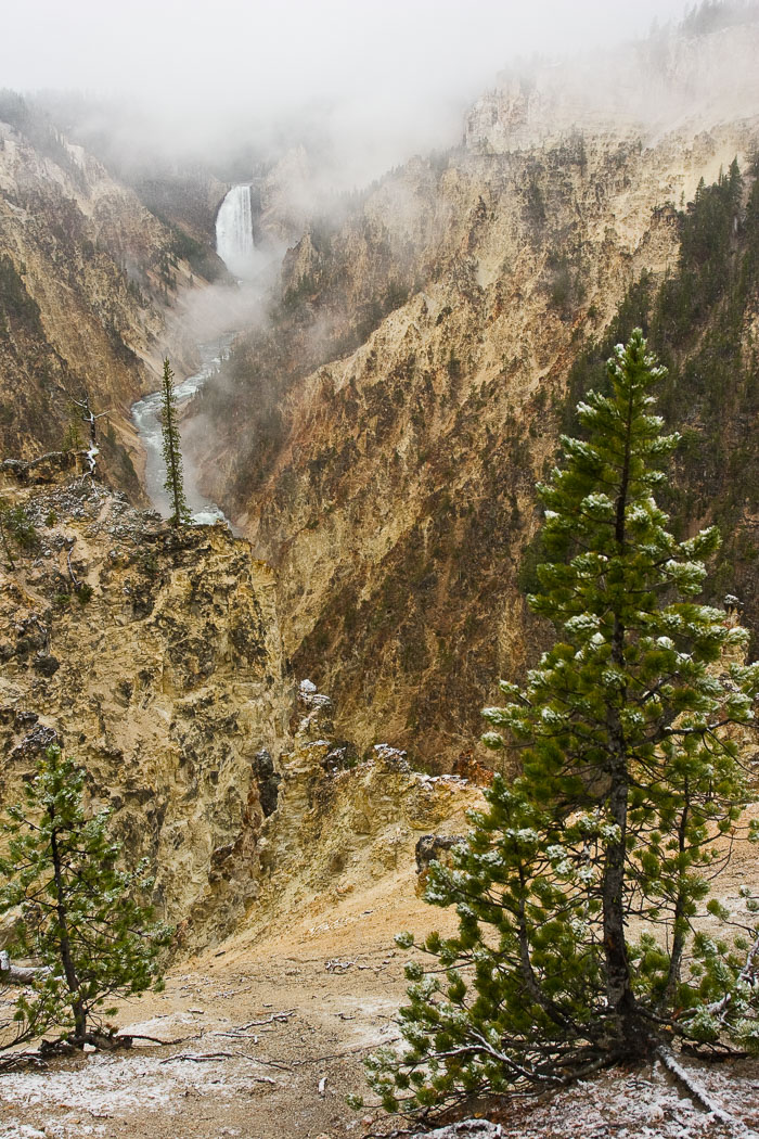 Yellowstone Scenics