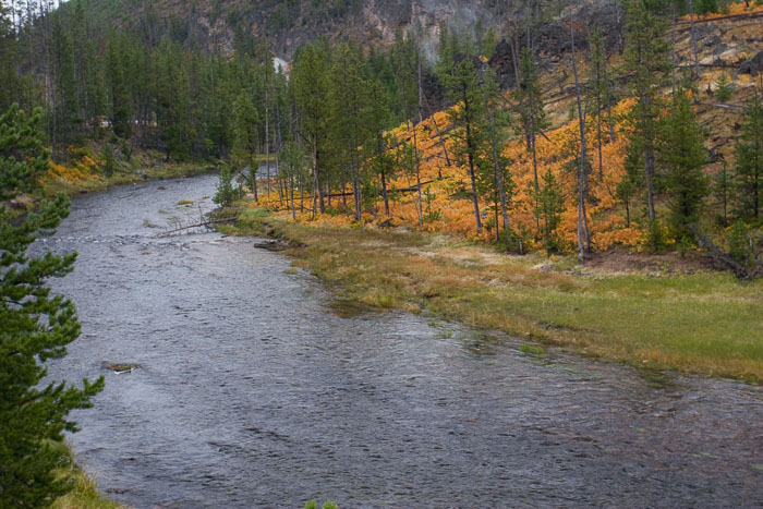 Yellowstone Scenics