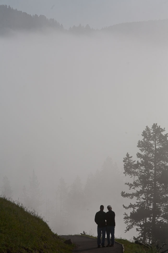 Yellowstone Scenics
