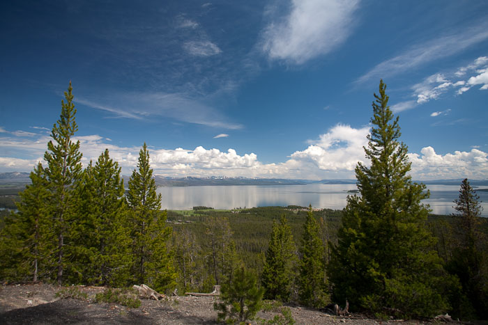 Yellowstone Scenics