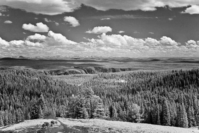 Yellowstone Scenics